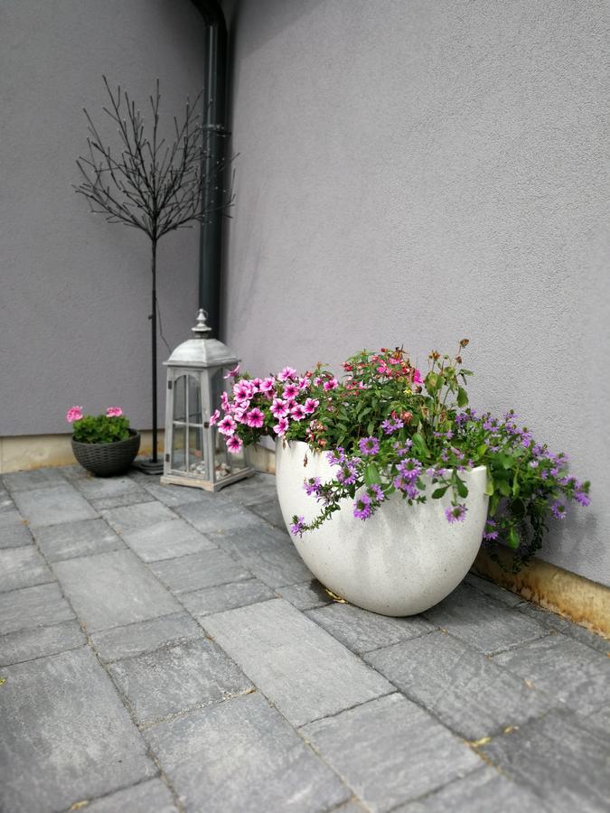Zsinko Villa Pécs Exterior photo